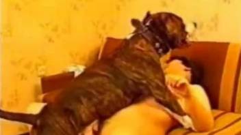 Big butt mommy getting fucked by her own pet