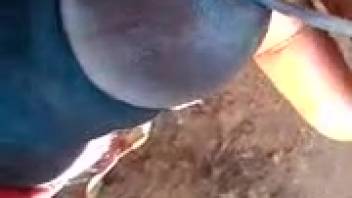 Arrogant naked guy jerks off with worms inside his cock