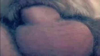 Guy thrusts his stiff cock into a bitch's vagina