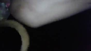 Canine banging a guy's steamy rear end deeply