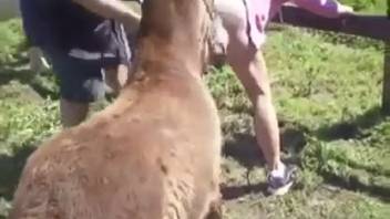 Outdoor animal sex romp with a whore and a pony
