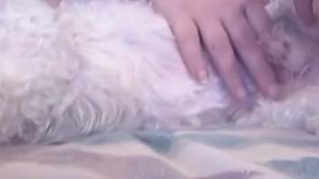 Plump elderly slut sucks tiny canine's cock on video