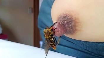 Sexy bee fucking her nipple in a fetishy fashion
