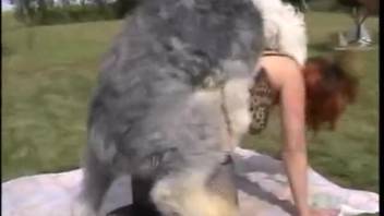 Hairy creature screwing two mature moms in an outdoor setting