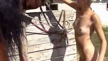Woman in bestiality scene pleasures herself and performs oral on horse