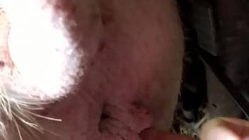 Hot dude fingering that pussy before he makes the beast cum