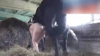 Plump Russian woman submits to a thick-dicked stud