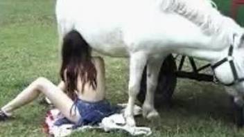 Redheaded beauty getting fucked by a white stallion