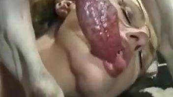 Brunette amateur filmed licking the dog's dick like a slut