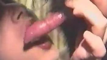 Hot lady kissing all over a dog's penis to make it happy