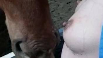Asian beauty jerking a stallion's cock in a hot video