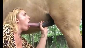 Horny blonde deepthroats and fondles massive horse cock