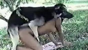 Compilation of doggy style fucking with kinky dogs