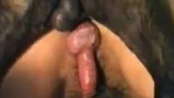 Blond-haired babe with a bush gets fucked by a dog