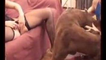 Blonde in blue getting fucked by a dog in front  of her GF