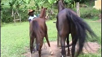 Outdoor porn film featuring a horny Latin woman who loves bestiality