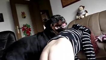 Woman raised her buttocks to signal the dog she desired it to mount her
