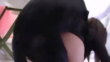 Mask-wearing brunette wants that canine cock BAD