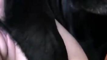 Wet pussy blonde getting banged by a black beast