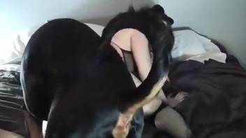 Busty nude beauty handles a big dog dick in her hands