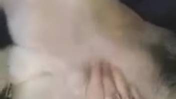 Rapid animal sex sequence with intense rough fucking
