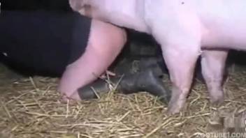 Sexy woman lets the swine bang her soaked cunt