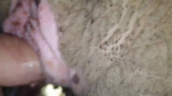 Guy can't quit banging that filthy beastly orifice