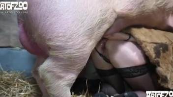 Insane zoo fuck scenes with a woman and a pig