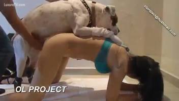 Latina babe with a firm booty relishing intense pounding