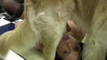 Crazy doggy-style lesbian sex show featuring two stunning beauties