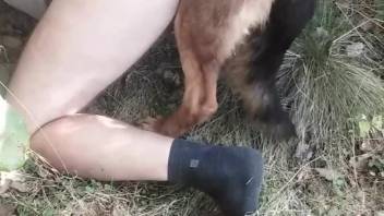 Big booty dude enjoying sex with a dirty doggo