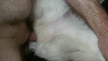 Man's stunning cock pounds a narrow animal orifice