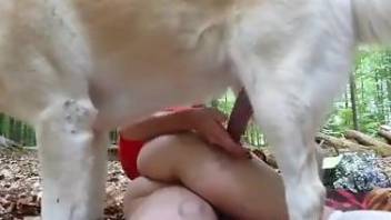 Red Riding Ho getting fucked by a white dog here