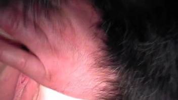 Beast savagely bangs a moist human vagina in close-up