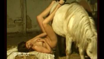 Bored MILF approached horse to use his dick for satisfaction