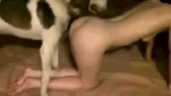Leggy lady taking great cock deep in her pussy