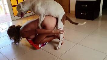White dog fucking a lady's pussy from behind brutally
