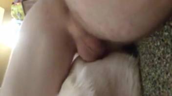 Dude with a sexy penis nailing a dirty white beast