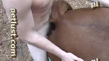 Bisexual zoophile fucks mares and blows stallions