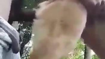 Man humps furry dog in the ass for brutal outdoor XXX