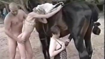 Lovers have sex near stallion whose prick is also involved in process
