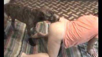 Pretty pussy gal getting fucked on all fours here