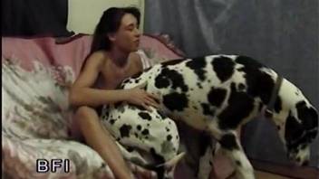 Skinny redheaded slut getting wrecked by all kinds of dogs