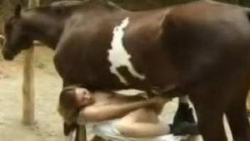 Huge horse penis plowing the tight hole of a hot zoophile