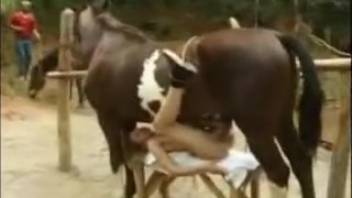 Massive equine cock ravaging the snug orifice of a steamy bestiality enthusiast