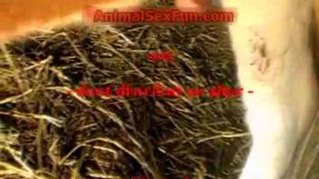 Lady in stockings craves that beastly dick inside her