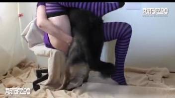 Brunette in purple getting face-fucked by a dog