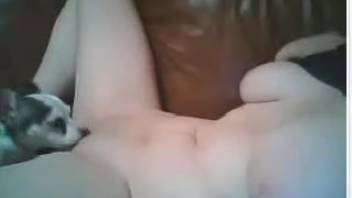Well-endowed young brunette receives oral pleasure from her alluring pet