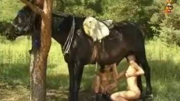 Dirty harlots took horse to quiet place for fucking