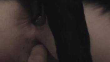 Chubby dark-haired slut being roughly anal penetrated